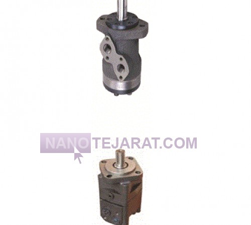 hydraulic motor